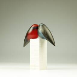 Duo Love Birds - 15 - thumbnail 4