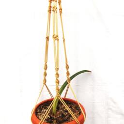 Beige Macrame Plant Hanger 36 Inches 3mm - Hanging Planter Wall Holder - thumbnail 2