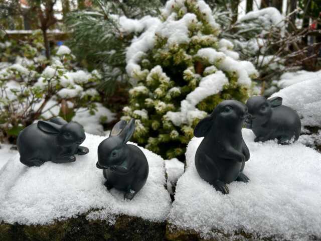 Set Of 4 Garden Rabbits - Bunny Ornament Decoration - image 1