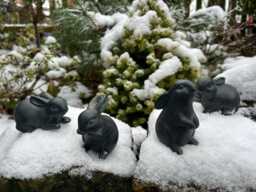 Set Of 4 Garden Rabbits - Bunny Ornament Decoration - thumbnail 1