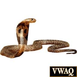 Snake Sticker - Cobra Wall Decal Peel & Stick Art Decor Reusable Fabric Material Vwaq-Cob555 - thumbnail 2