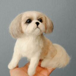 Custom Made Felt Dog, Needle Felted Shih Tzu, Maltese Havanese , Bichon Fris??, Lhasa Apso Or Any Other Breed - Made To Order - thumbnail 3