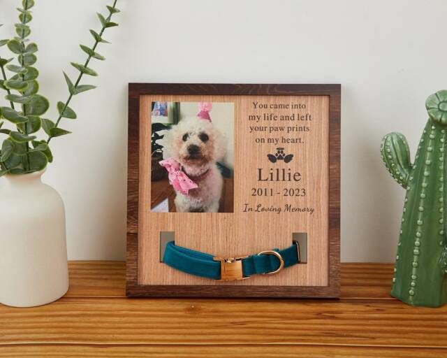 Memorial Pet Collar With Photo, Puppy Wood Frame Display, Custom Standing Frame, in Loving Memory, Pet Loss Gifts - image 1