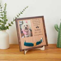Memorial Pet Collar With Photo, Puppy Wood Frame Display, Custom Standing Frame, in Loving Memory, Pet Loss Gifts - thumbnail 3