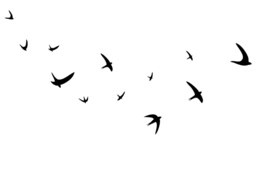 Bird Wall Decal Set Of 12 Flying Swallow Unique Easter Decor - Decals Suitable For Window Or Nursery Decor-Playroom Sticker - thumbnail 1