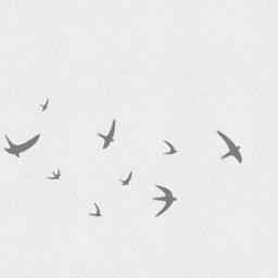 Bird Wall Decal Set Of 12 Flying Swallow Unique Easter Decor - Decals Suitable For Window Or Nursery Decor-Playroom Sticker - thumbnail 2