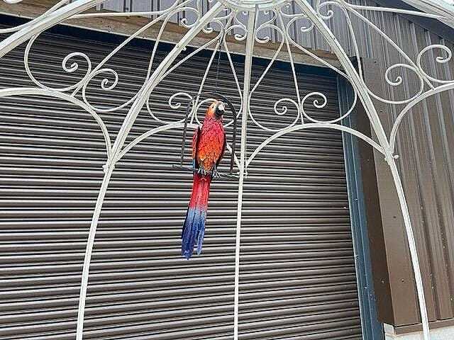 Decorative Large Hanging Parrot Statue - Red - image 1