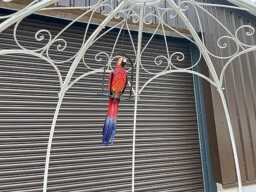 Decorative Large Hanging Parrot Statue - Red - thumbnail 1