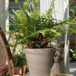Charming Brown Bear Pot Buddy - Garden & Home Decor British Design - thumbnail 2