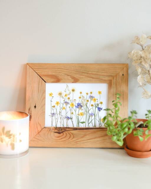 Daisy Meadow - Print Reproduction Artwork Of Pressed Flowers 100% Cotton Rag Paper Botanical Art - image 1