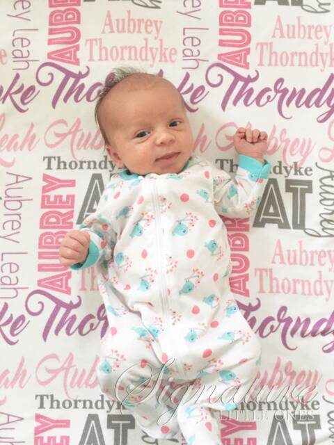 Personalized Baby Blanket, Monogrammed Name Swaddle Receiving Shower Gift, Birth Announcement Blanket - image 1