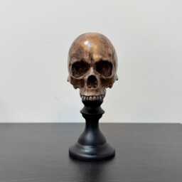 Skull Plinth, Middle Size Skull, Dark Home Aesthetic Decoration, Macabre Halloween Gift, Gothic Decor, Table Top Decor - thumbnail 4