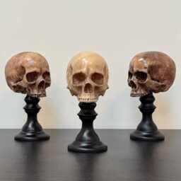 Skull Plinth, Middle Size Skull, Dark Home Aesthetic Decoration, Macabre Halloween Gift, Gothic Decor, Table Top Decor - thumbnail 3
