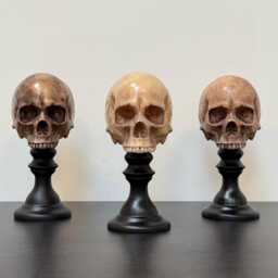 Skull Plinth, Middle Size Skull, Dark Home Aesthetic Decoration, Macabre Halloween Gift, Gothic Decor, Table Top Decor - thumbnail 1