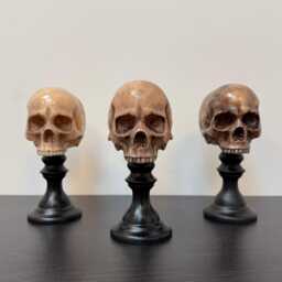 Skull Plinth, Middle Size Skull, Dark Home Aesthetic Decoration, Macabre Halloween Gift, Gothic Decor, Table Top Decor - thumbnail 2