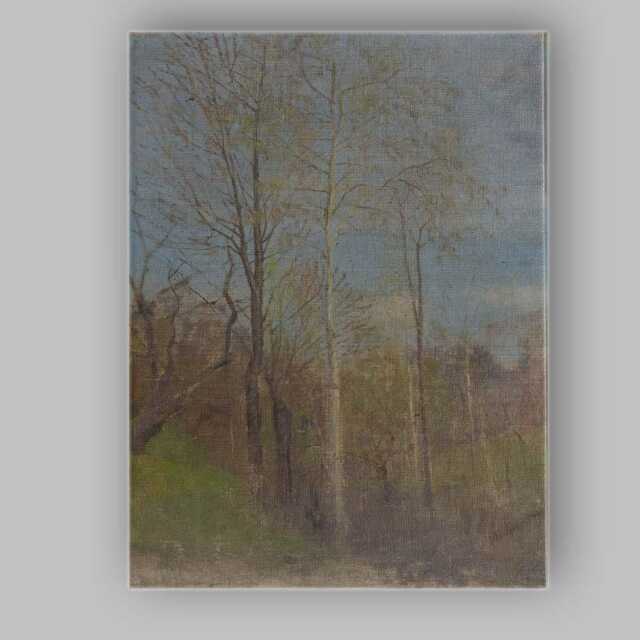 Delicate Birch Trees Woodland Spring Landscape Painting Canvas Wall Art Print Decor Picture Ready To Hang - image 1