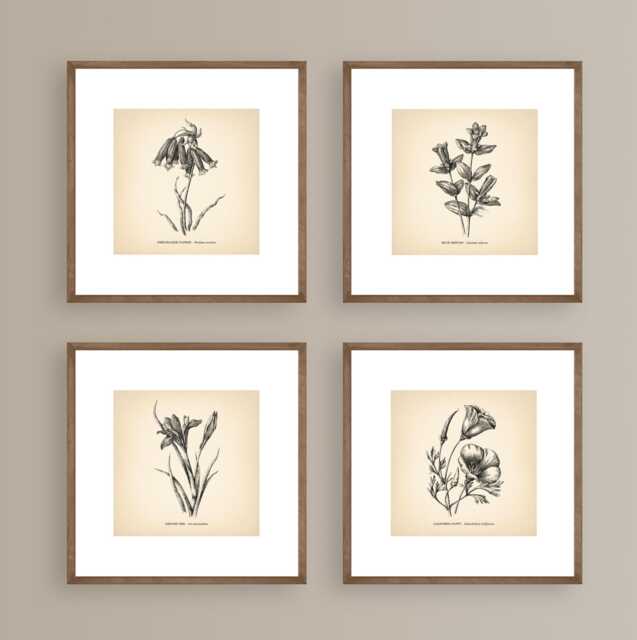 8x8'' Vintage Botanical Prints Set Of 4 Poster Wildflower Print Flower Art Neutral Decor - image 1
