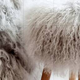100% Fur Mongolian Sheep Skin Stool Dove Gray With Wooden Legs - thumbnail 3