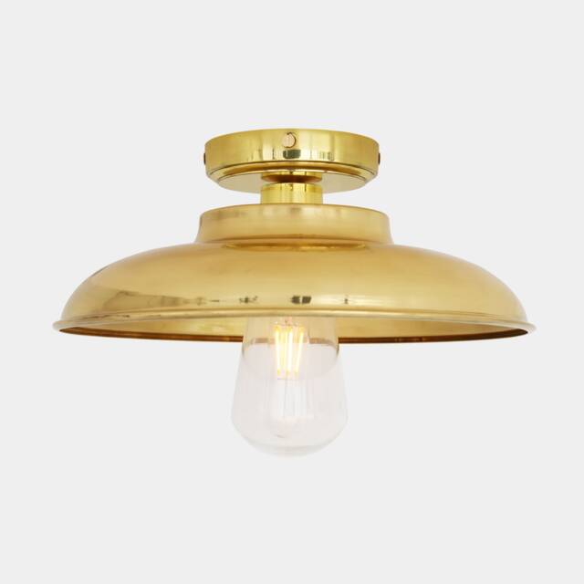 Darya Industrial Brass Ceiling Light 12.5'' Ip65 - image 1