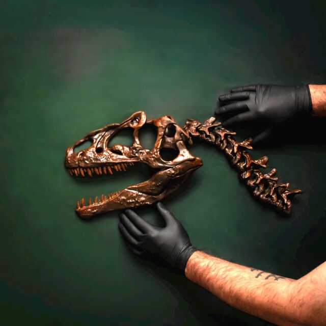 Dinosaur Fossil Skull Wall Art, 23 Inch Allosaurus Replica, Hand Painted Gothic Decor, Oddities Curiosities Hanger - image 1
