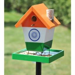 India Bird Feeder - thumbnail 3