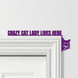 Door Topper Crazy Cat Lady Lives Here Various Colours Decorative Sign - Sign, Novelty Wall Decor, Frame Art, Art - thumbnail 4