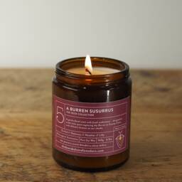 Burren Susurrus Soy Candle Irish Orchid Floral Scent - thumbnail 1