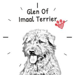 Glen Of Imaal Terrier, Free Standing Mdf Floor Clock With An Image A Dog - thumbnail 2