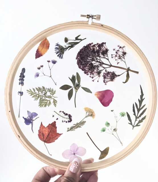 Framed Flowers Wall Art, Assorted Flowers, Hoop Art Decor, Botanical Gifts, Floral Arts, White Nature Lovers Gift - image 1