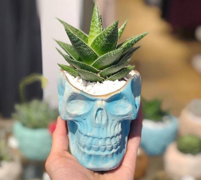 Skull Succulent Planter- Concrete Human Vessel- Gothic Flower Pot- Witch Home Decor- Marble Cement- Halloween Decor - image 1
