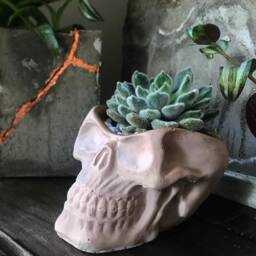 Skull Succulent Planter- Concrete Human Vessel- Gothic Flower Pot- Witch Home Decor- Marble Cement- Halloween Decor - thumbnail 4