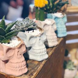Skull Succulent Planter- Concrete Human Vessel- Gothic Flower Pot- Witch Home Decor- Marble Cement- Halloween Decor - thumbnail 3