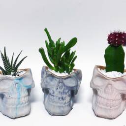 Skull Succulent Planter- Concrete Human Vessel- Gothic Flower Pot- Witch Home Decor- Marble Cement- Halloween Decor - thumbnail 2
