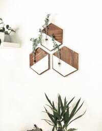 Rustic Hexagon Wood Wall Art Farmhouse Decor With Plant Tubes - thumbnail 1