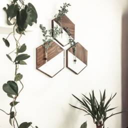 Rustic Hexagon Wood Wall Art Farmhouse Decor With Plant Tubes - thumbnail 2
