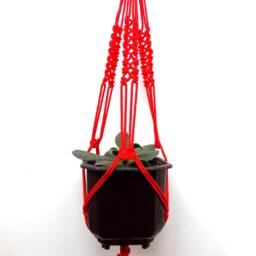 Red Mini Macrame Plant Hanger 18 Inches 3 Mm - Hanging Planter Indoor Outdoor Gift Idea Wall Hanging Pattern - thumbnail 2