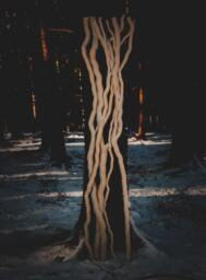 Floor Lamp, Wooden Living Room Wall Indirect Light, Light, Room Lighting, Industrial Rapunzel Lamp - thumbnail 1