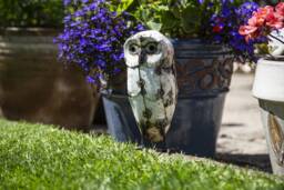 White Owl Recycled Metal Outdoor Garden Sculpture. Lovers Gift - thumbnail 1