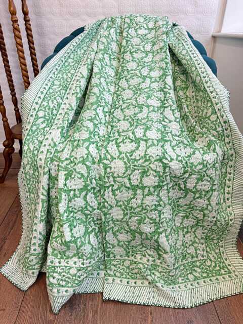 Kantha Stitch Cotton Reversible Bed/Sofa Throw King Size Floral Indian Dohar Elegant Spring Pastel Green White Oriental Ginkgo Fan Stripe - image 1