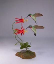 Open-Winged Ruby-Throated Hummingbird Pair