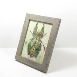 Insect Home Decor Gifts Framed Wall Art Painting Leaf Bug Green Living Desk Top Decoration Garden Botanical Science Illustration Kids Room - thumbnail 2