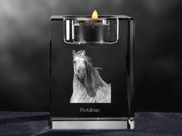 Pintabian - Crystal Candlestick With Horse, Souvenir, Decoration, Limited Edition, Collection - image 1