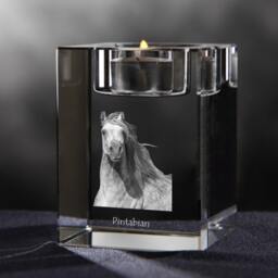 Pintabian - Crystal Candlestick With Horse, Souvenir, Decoration, Limited Edition, Collection - thumbnail 2