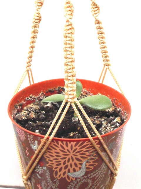 Beige Macrame Plant Hanger 24 Inches 3mm - Hanging Planter Indoor Outdoor Gift Idea Plant Holder Wall Hanging - image 1