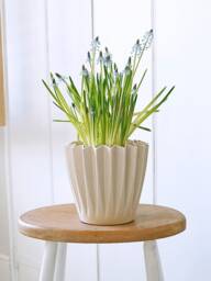 Pleated Eco Plant Pot - thumbnail 1