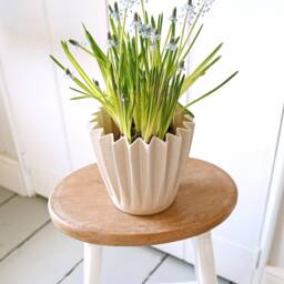 Pleated Eco Plant Pot - thumbnail 2
