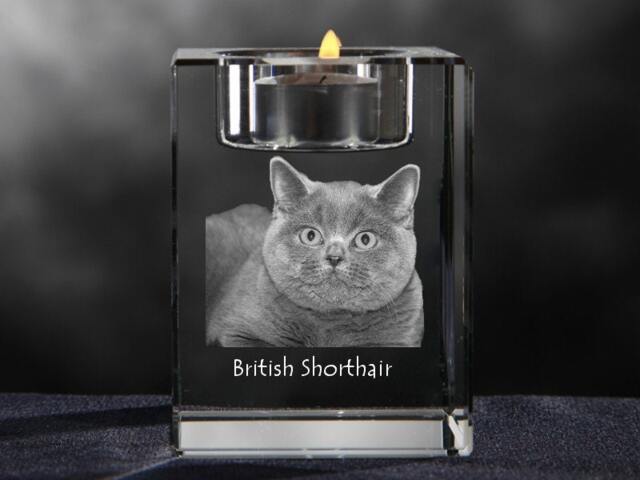 British Shorthair, Crystal Candlestick With Cat, Souvenir, Decoration, Limited Edition, Collection - image 1