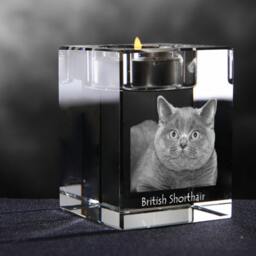 British Shorthair, Crystal Candlestick With Cat, Souvenir, Decoration, Limited Edition, Collection - thumbnail 3
