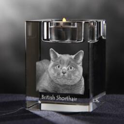British Shorthair, Crystal Candlestick With Cat, Souvenir, Decoration, Limited Edition, Collection - thumbnail 2