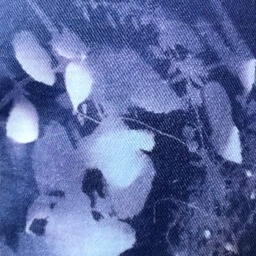 Cyanotype Pillow - thumbnail 3